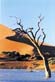 Sossusvlei